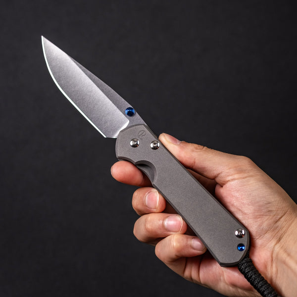 Chris Reeve Large Sebenza 31 Drop Point - Sandblasted Titanium - URBAN EDC®