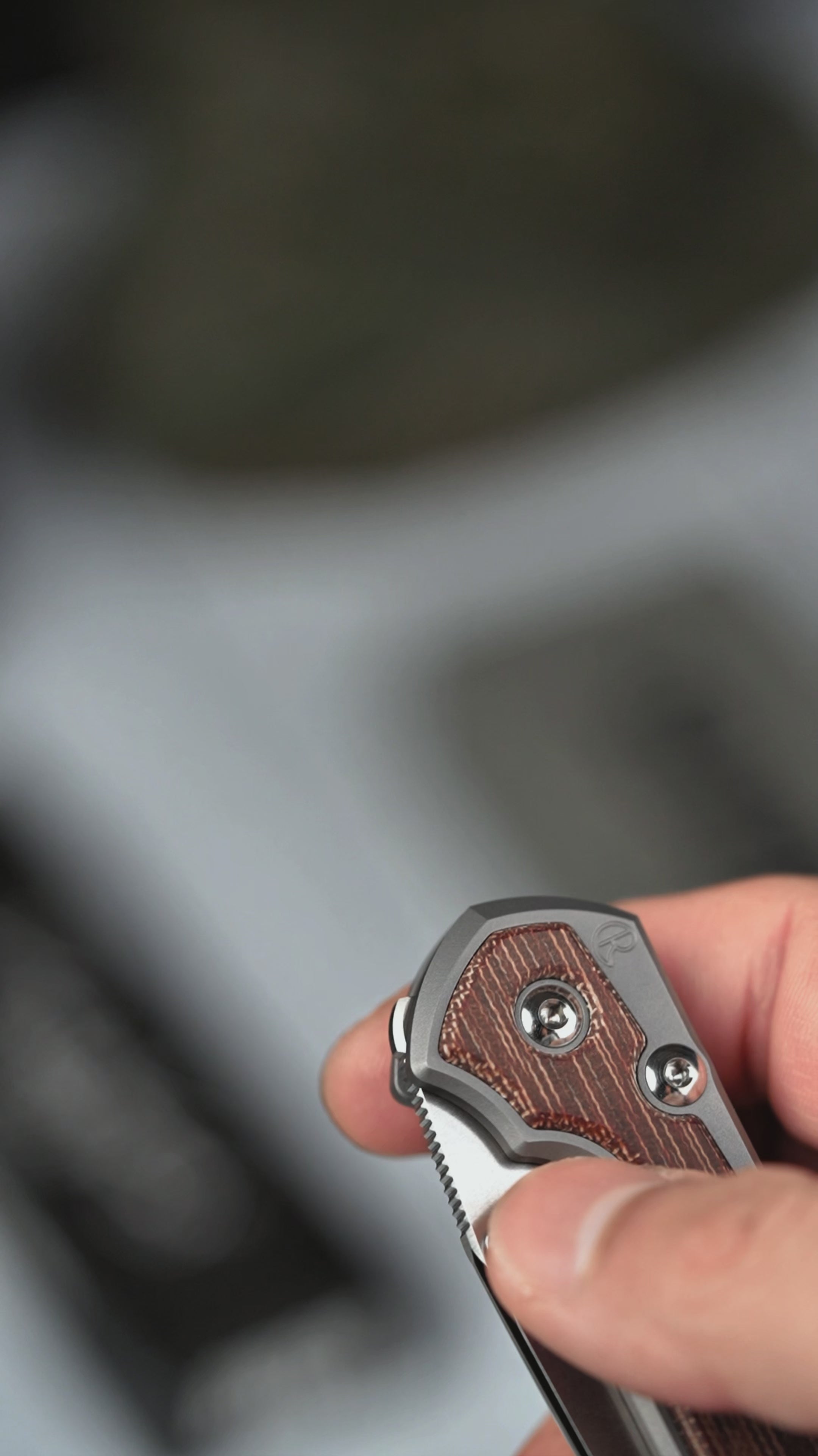 Chris Reeve Small Sebenza 31 - Insingo Magnacut & Glass Blasted